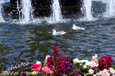 DSC03242-001