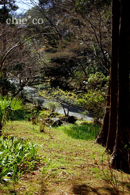 久良岐公園~3
