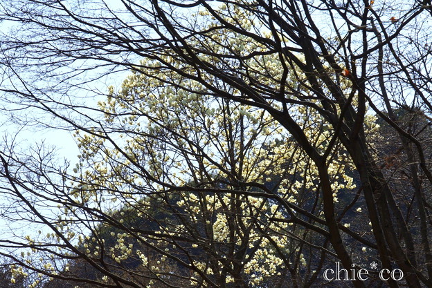 久良岐公園~10