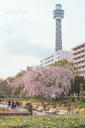 Yokohama-140