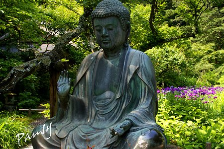 水無月の東慶寺・・1