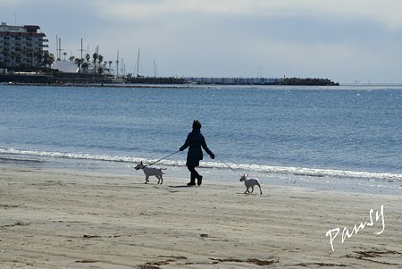 浜辺にて・・