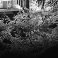 水鏡