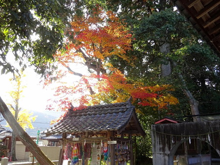 161116-03稗田野神社