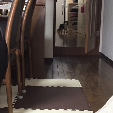 家中散策