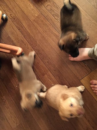 足にまとわりついて歩きにくい(汗)