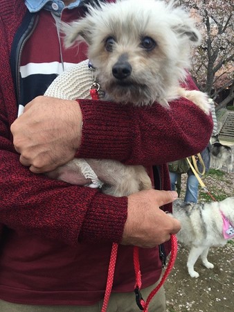 早速パパに抱かれるまぁちゃん