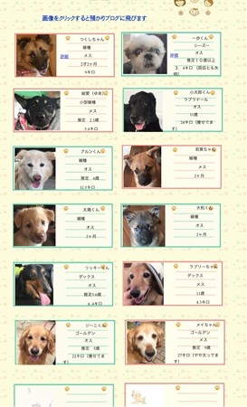 Re:Startの里親募集の子達