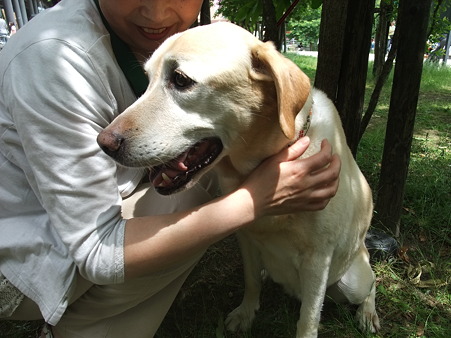 私は幸せです♪