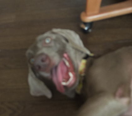 やっぱり怖いって!!!