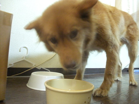 美味しいか?^^