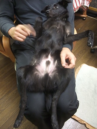 完全服従の脱力状態の