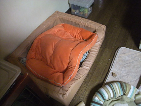 なにやら盛り上がってるベッド