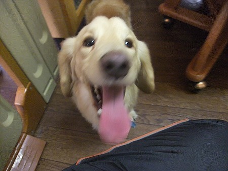 嬉しそう~~♪♪