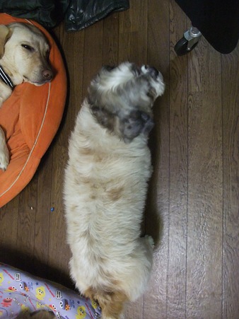 寸胴・・・