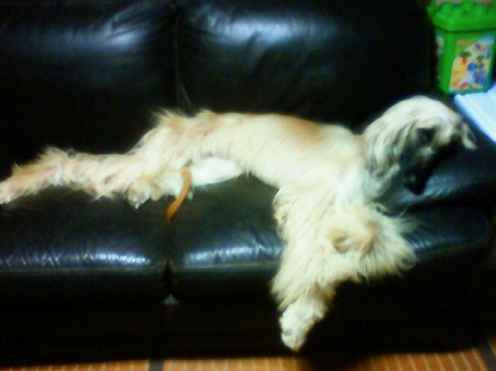 201104121933000