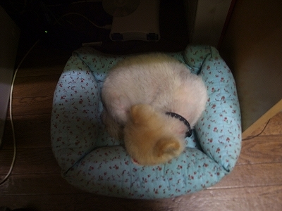凹み中