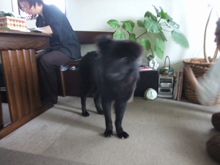 でも・・・