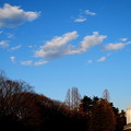駒沢公園　＜2015.2.14＞