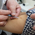 Photos: 予防接種