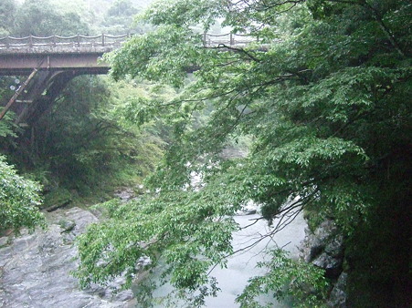 DSCF5806