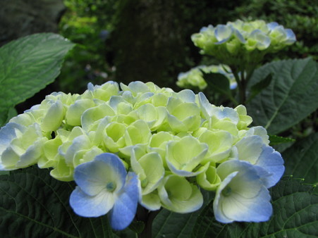 005