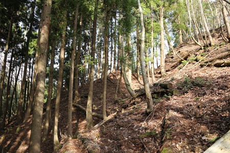 西山城 - 15