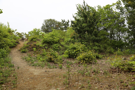 高瀬城 (6)