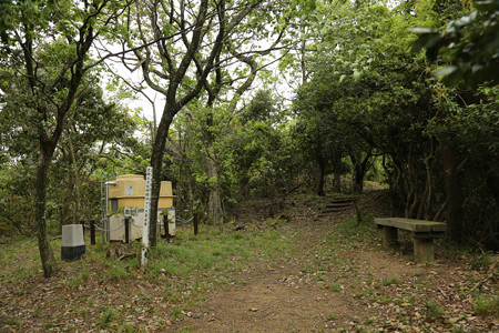 鳶ヶ巣城 (4)