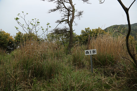 鳶ヶ巣城 (11)
