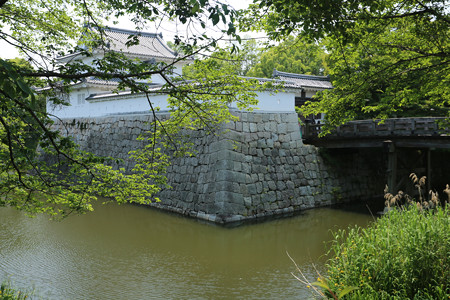 水口城