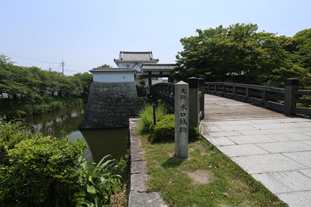 水口城 (1)