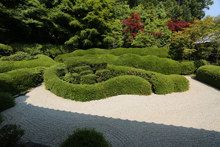 大池寺 (3)