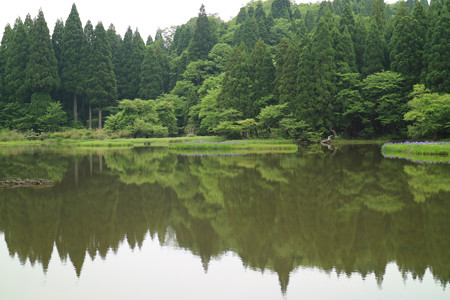 平池 (2)