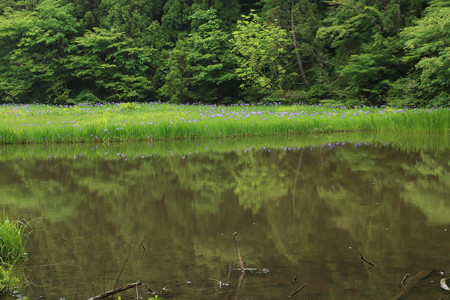 平池