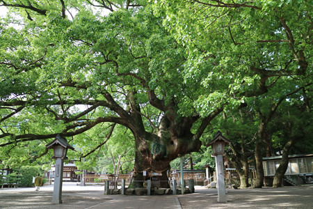 大麻比古神社 (1)