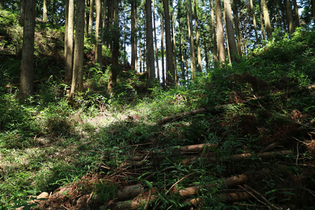 岩櫃城 (9)