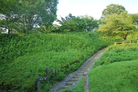 後閑城