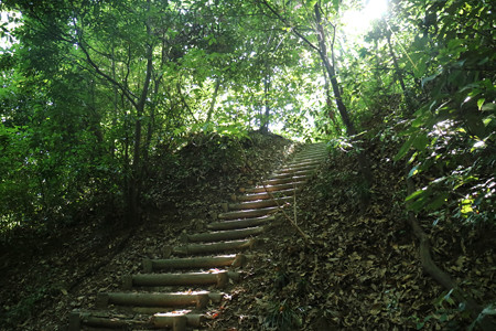 山名城 (1)