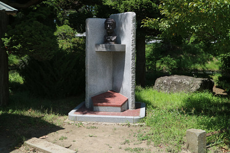 龍岡城五稜郭 (1)