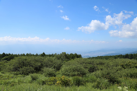 高ボッチ高原