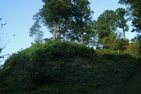 楪城 (5)