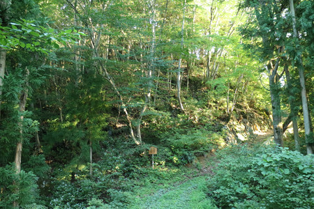 楪城 (9)
