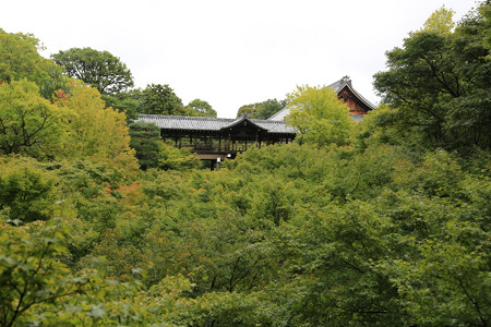 東福寺 (4)