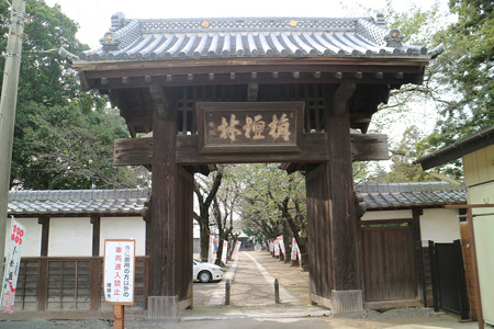 勝願寺 (13)