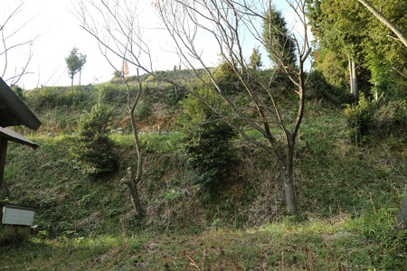恒屋城 (16)