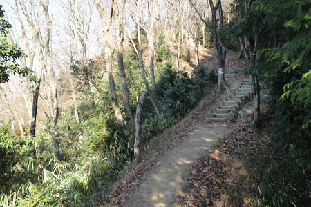 津田城（国見山） (3)