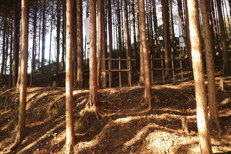 津田城（国見山） (7)