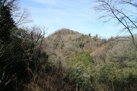 交野山 (4)