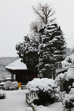盛蓮寺 - 2